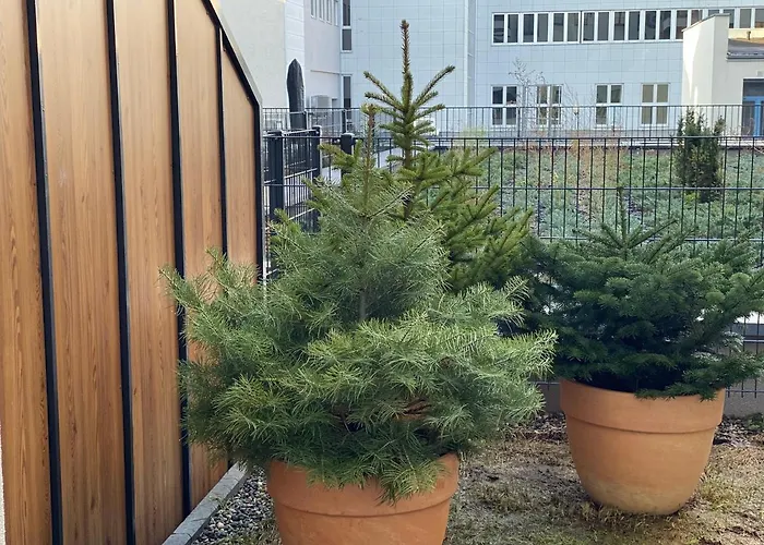 One Gasiorowskich 4 Apartment *