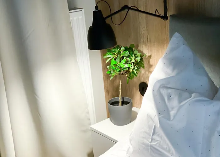 One Gasiorowskich 4 بوزنان